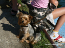 proudnice_2009_122