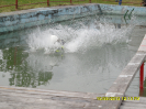 proudnice_2013_127