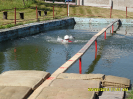 proudnice_2014_68