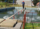 proudnice_2014_92