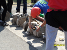 prounice_2015_123