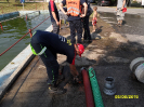 prounice_2015_35
