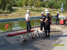 prounice_2015_56