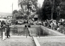Lavka_1
